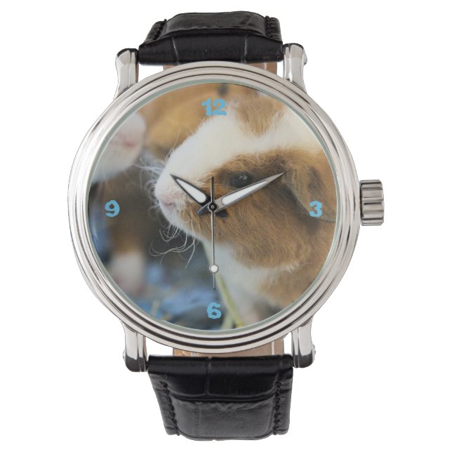 Piggy Watch (Front)