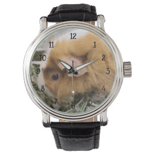Piggy Watch