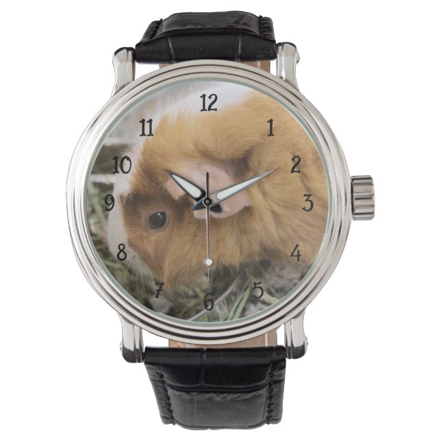 Piggy Watch (Front)