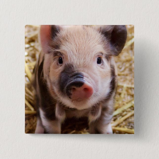 Piglet 15 Cm Square Badge (Front)