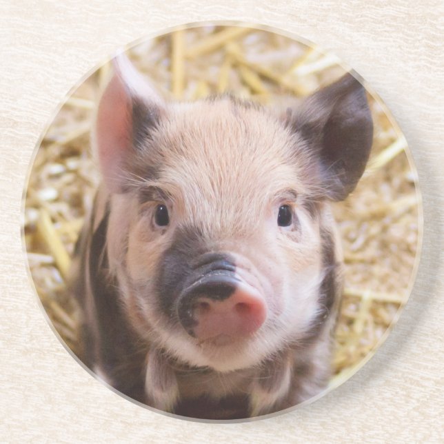Piglet Coaster (Front)
