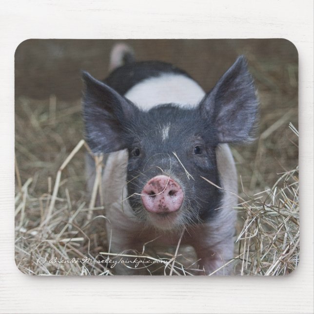 Piglet in Straw Mouse Pad (Front)
