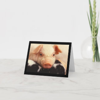 Piglet Pig Adorable Face Snout Card