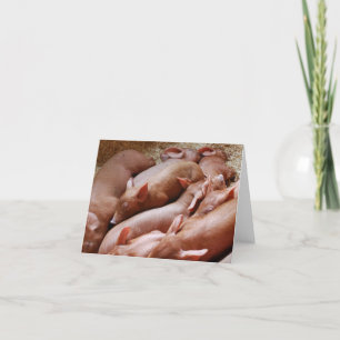 Piglet Pile Card