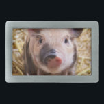 Piglet Rectangular Belt Buckle<br><div class="desc">add text or upload your own image</div>
