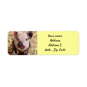 Piglet Return Address Label