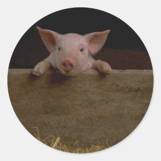 Piglet Sticker