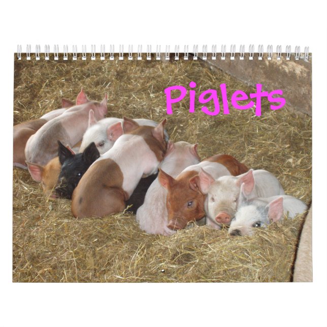 Piglets Calendar (Cover)