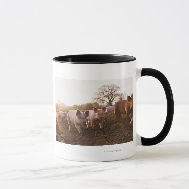 Piglets in Barnyard Mug (Right)