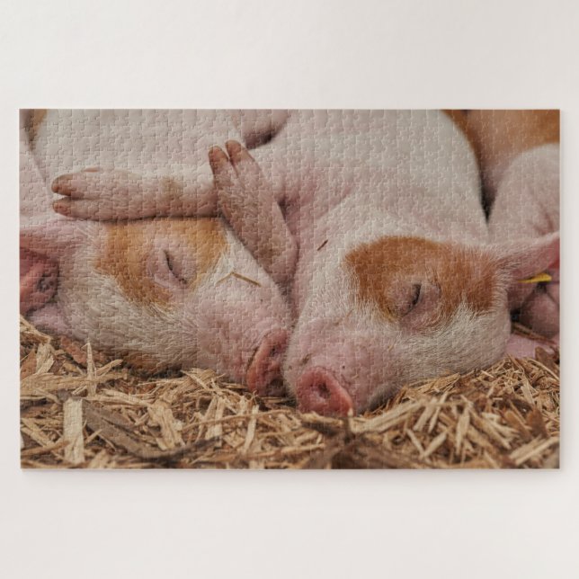 Piglets Jigsaw Puzzle (Horizontal)