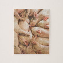 Piglets Puzzle