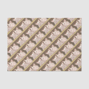 Piglets Tissue Paper