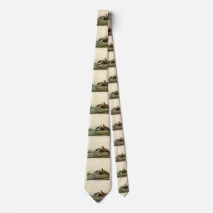 Pigmy Curlew (Sandpiper) Audubon Birds of America  Tie