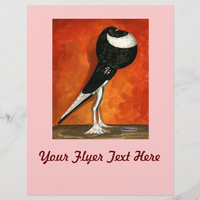 Pigmy Pouter Pigeon Black Pied Flyer (Front)