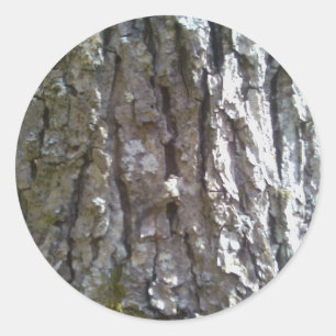 Pignut Hickory Tree Bark Classic Round Sticker