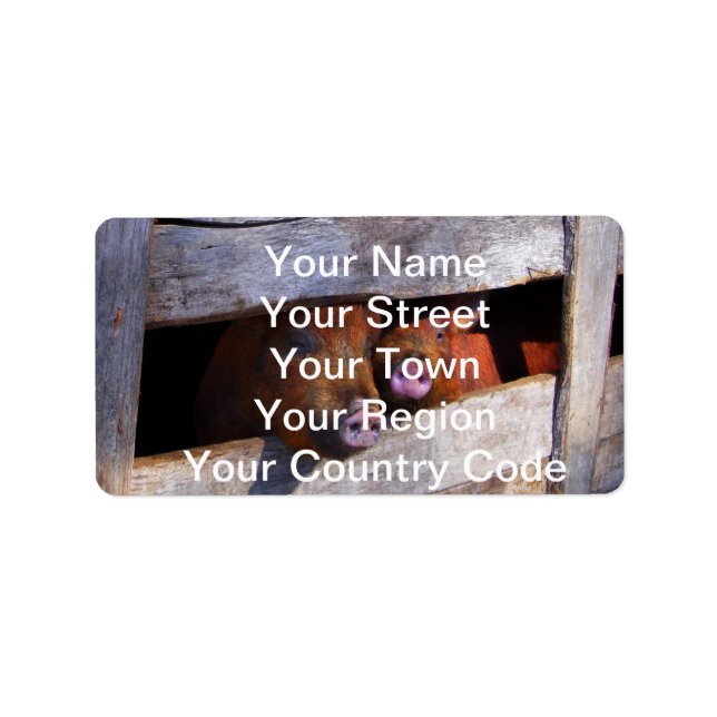 PigPen Pair Peeking Piggies Label (Front)