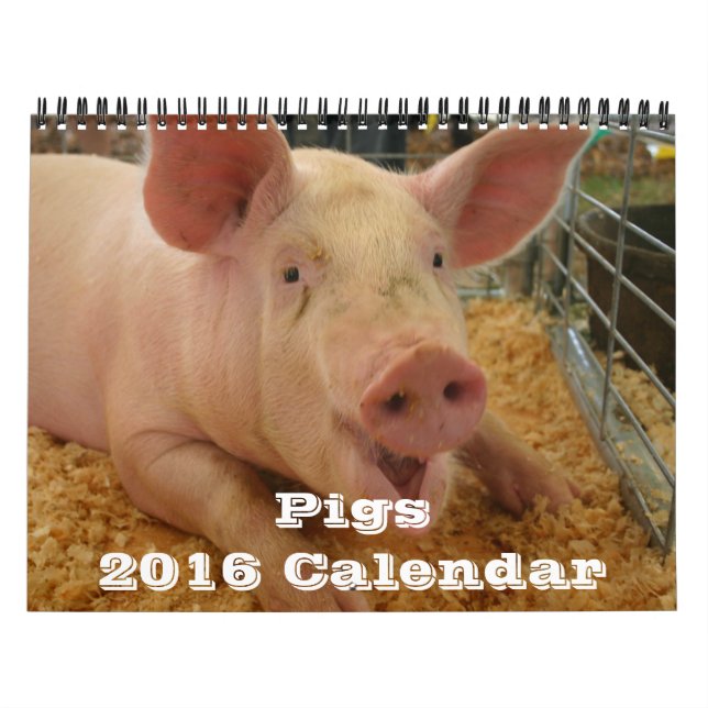 Pigs 2016 Calendar (Cover)