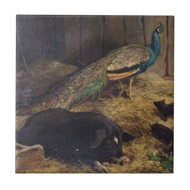 Pigs and Peacock by Charles Burton Barber in 1878 Ceramic Tile (Front)