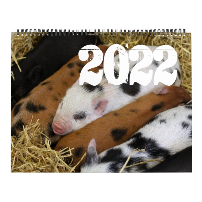Pigs and Piglets 2022 Calendar (Cover)