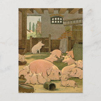 Pigs and Piglets on the Farm Postcard