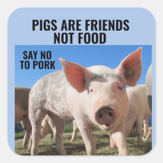 PIGS ARE FRIENDS NOT FOOD - VEGAN STICKERS