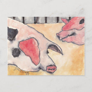 Pigs at the County Fair Postcard