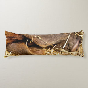 PIGS BODY CUSHION