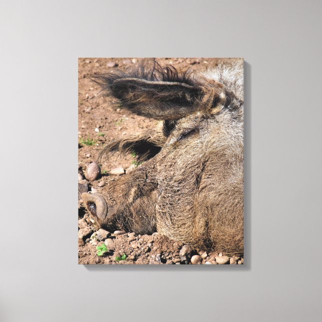 PIGS CANVAS PRINT (Front)
