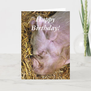 PIGS CARD