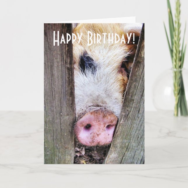 PIGS CARD (Front)