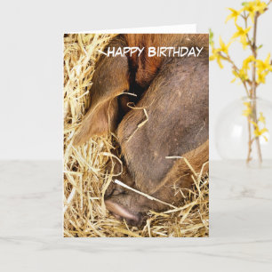PIGS CARD