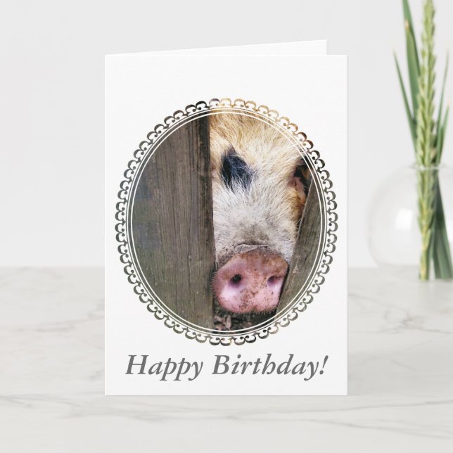 PIGS CARD (Front)