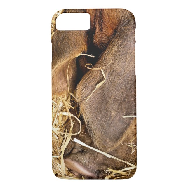 PIGS Case-Mate iPhone CASE (Back)