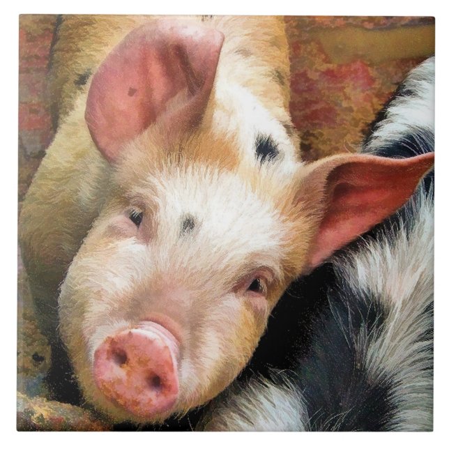 PIGS CERAMIC TILE (Front)