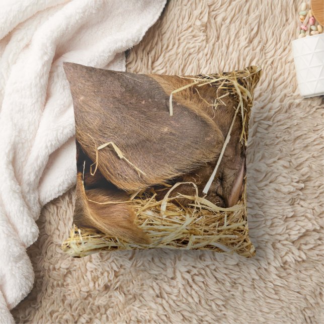 PIGS CUSHION (Blanket)