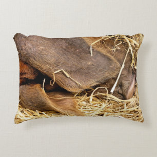 PIGS DECORATIVE CUSHION