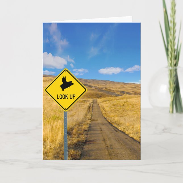 Pigs Flying Above Sign Card (Front)