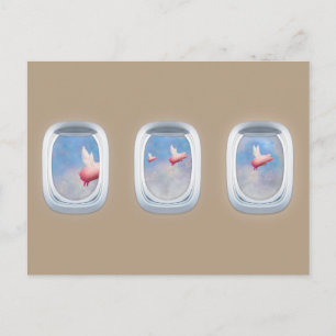 pigs flying past aeroplane windows postcard