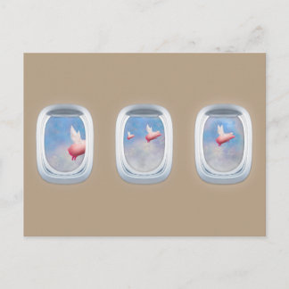 pigs flying past aeroplane windows postcard