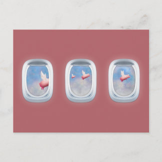 Pigs flying past aeroplane windows postcard