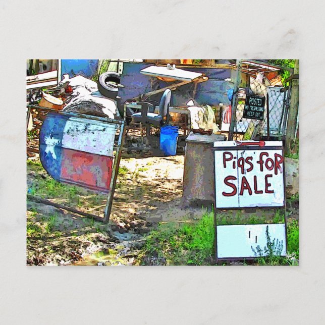Pigs for Sale in Dale, TX Postcard (Front)