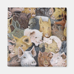 Pigs Galore Magnet