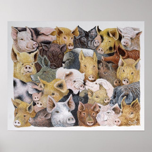 Pigs Galore Poster (Front)