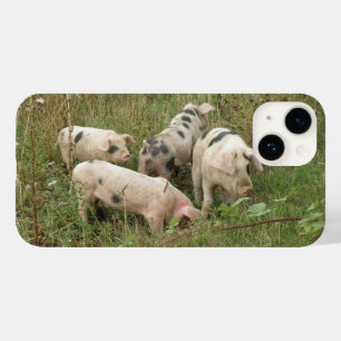 Pigs in a Field Case-Mate iPhone 14 Case