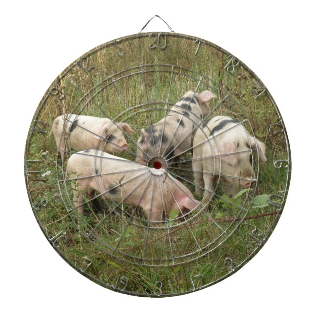 Pigs in a Field Dart Board (Front)