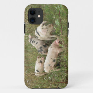 Pigs in a Field iPhone 5 Case