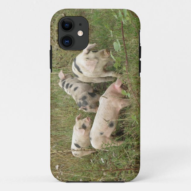 Pigs in a Field iPhone 5 Case (Back)