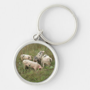Pigs in a Field Keychain