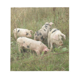 Pigs in a Field Notepad