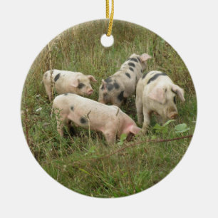 Pigs in a Field Ornament